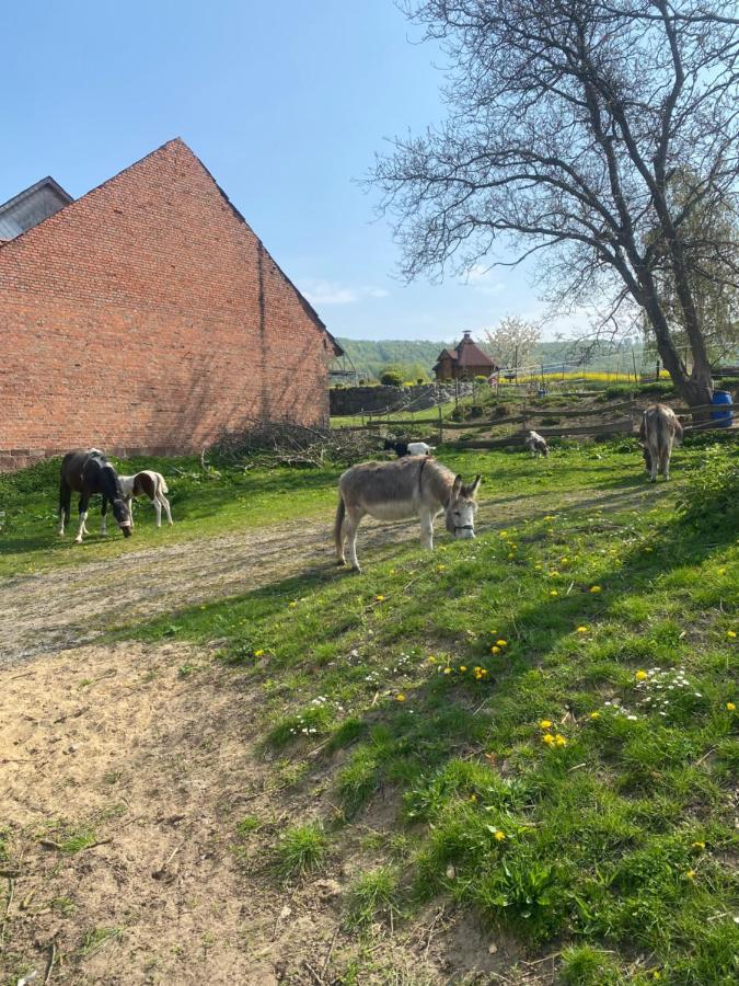 Fewo Im Reit- Und Ponyparadies Roos Halle  Exterior foto